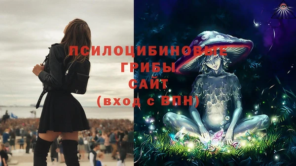 ПСИЛОЦИБИНОВЫЕ ГРИБЫ Армянск