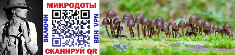 мориарти формула что такое Коломна Псилоцибиновые грибы Cubensis